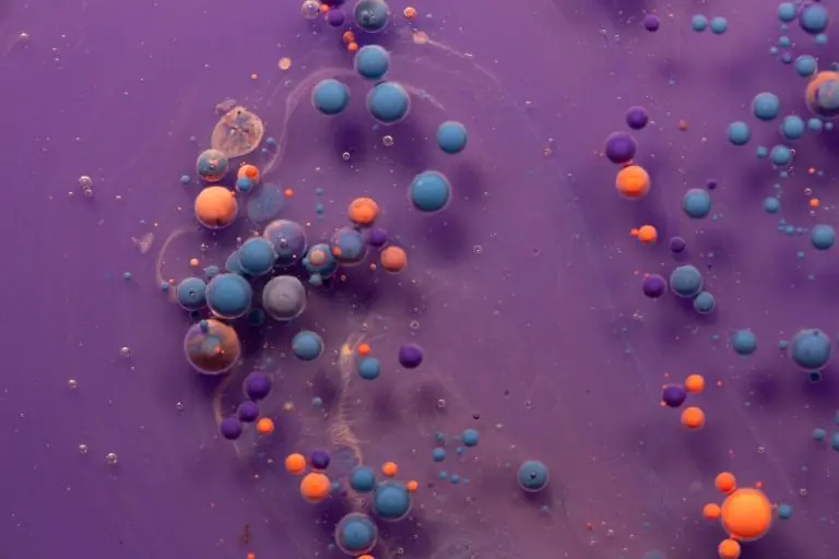 paint